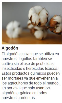 FOTO DE ALGODON